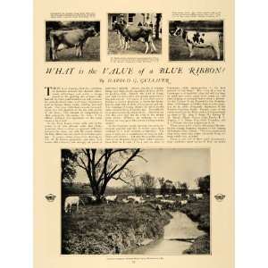   Jersey Guernsey Dairy Cows   Original Print Article