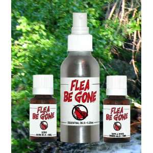  and Beyond FLEABGONE ALL Flea Be Gone Spray   All Sizes