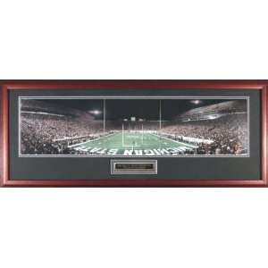  Michigan State Spartans   End Zone vs Notre Dame   Framed 