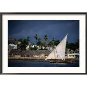  Traditional Dhow Sailing Past Town, Lamu, Coast, Kenya 