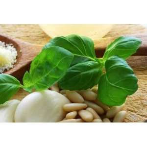  Ingredienti per Il Pesto Alla Genovese   Peel and Stick 