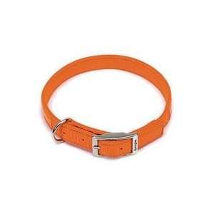   SAFETY ORANGE; Size 1 X 18 (Catalog Category DogWALKING ACCESSORIES