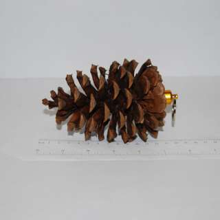 This is our Large Pine Cone with Bison Tube Geocache Containers.