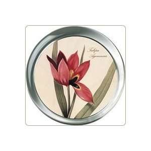  Tulip Botanical Paperweight