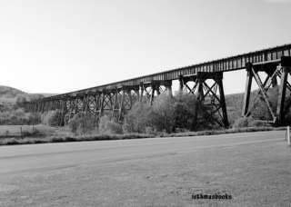 Salisbury Junction Viaduct Casselman River Somerset PA  