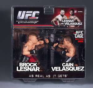 Brock Lesnar vs. Cain Velasquez Round 5 UFC Versus Series 2  