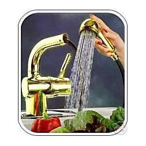  Aquatouch / Aqua Touch Gold Kitchen Faucet with Pullout 