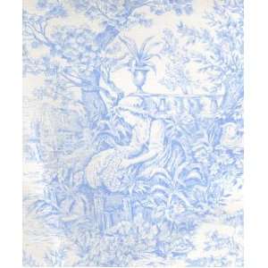 Timeless French Court Country Life Toile Chambray White by 