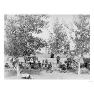  Cowboys Eating Dinner on Ground Under Trees Photograph 