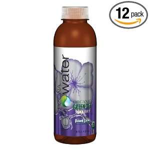 Arizona Yumberry Tea Water, 20 Ounce (Pack of 12)  Grocery 