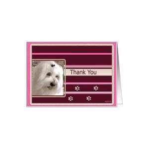  Coton de tulear Thank you stripe Card Health & Personal 