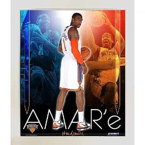 Amare Stoudemire New York Knicks Team Colors Composite 
