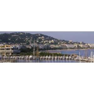   at Harbor, Cannes, France by Panoramic Images , 24x8