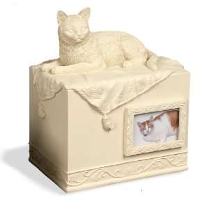 AngelStar Pet Urn for Cat, 55 Cubic Inch 