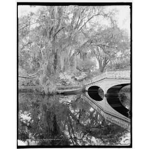  At the bridge,Magnolia on the Ashley i.e. Magnolia Gardens 