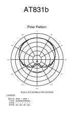 POLAR PATTERN