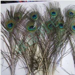  Grizzly Tibetan Natural Peacock Feather Hair Soft Feathers 