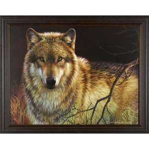  Gray Wolf Uninterrupted Stare Joni Johnson Gallery Quality 