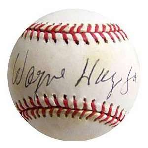  Wayne Huizenga Autographed Baseball   Autographed 