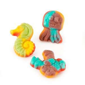  Sea Critter Gummi (16) Party Supplies Toys & Games
