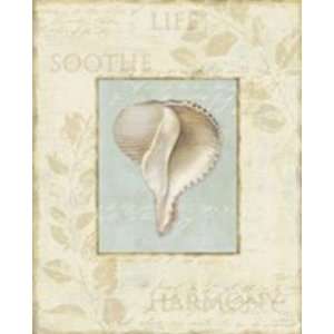  Soothing Words Shells IV Lisa Audit. 8.00 inches by 10.00 
