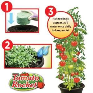  Tomato Rocket Patio, Lawn & Garden