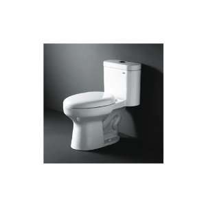  Contemporary European Toilet with Dual Flush   Royal 1011 