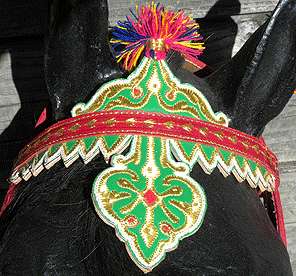 ARABIAN Horse COSTUME, Embroidered traditional show set  