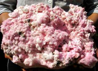 12.98Lbs Museum Quality Rare Pink Aragonite Specimen  