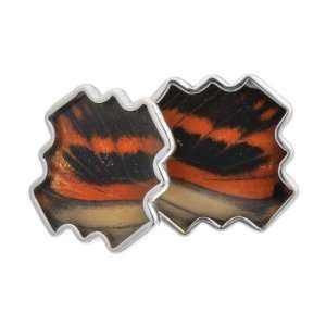  Aymara Forest Storm Butterfly Cufflinks CL AYA 0041 