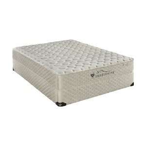  Twin Size Mattress Back Supporter Destiny Firm with 