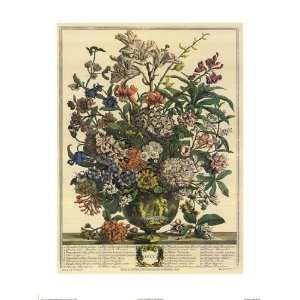  Twelve Months of Flowers, 1732/July by Robert Furber 15x20 