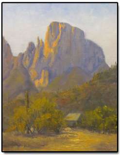   Art Original Oil Painting en Plein Air Tucson Arizona Sonoran Desert
