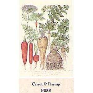  Carrot And Parsnip Poster Print