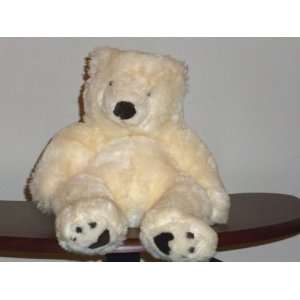  Cuddly Teddy Bear 