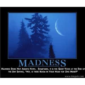  Madness Demotivator Lithograph