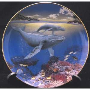    Our Cherished Seas Whale Song By Sy Barlowe 