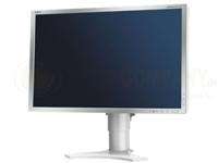 60002508 NEC MultiSync P221W   LCD monitor   22   1680 5028695106550 