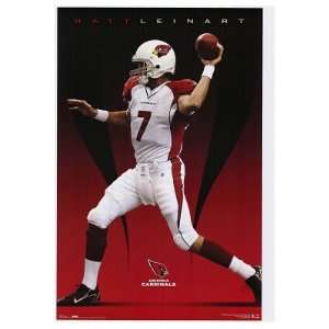  Arizona Cardinals (Matt Leinart) Sports Poster Print