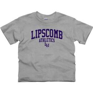 Lipscomb Bisons Youth Athletics T Shirt   Ash Sports 
