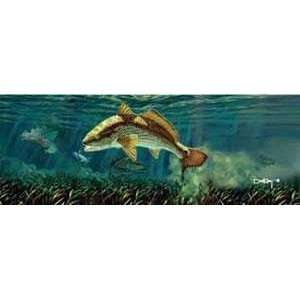 Perfect Images Redfish Window Graphic 