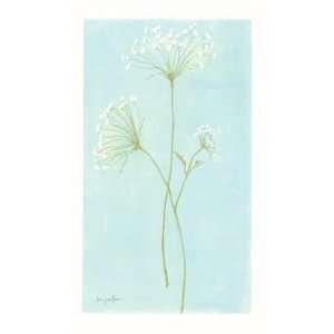 Queen Anne S Lace L Poster Print
