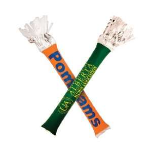   Pair of inflatable thunderstix with pom pom ends