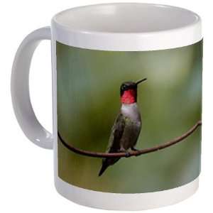  Male Ruby throated Hummingbird Nature Mug by  