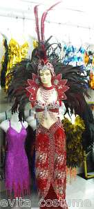 Da NeeNa C002 Vegas Showgirl Samba Headdress Costume Set  