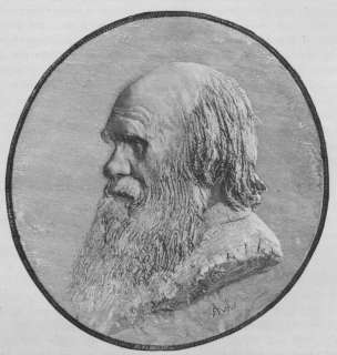 PORTRAITS Charles Darwin, 1890 antique engraving  