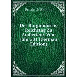   Vom Jahr 501 (German Edition) (9785874184162) Friedrich Bluhme Books