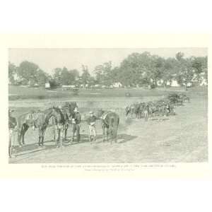 1898 Print New York Volunteer Cavalry At Camp Alger Spanish American 