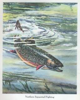 Currents & Eddies William Schaldach book first edition fly fishing 
