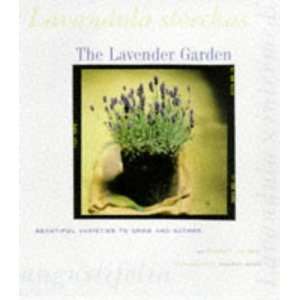  The Lavender Garden Beautiful Varieties to Grow and 